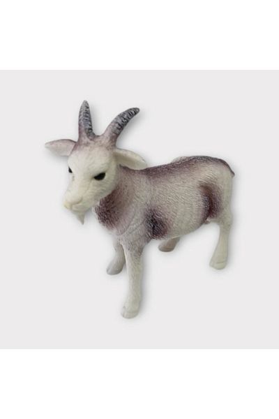 kapsulavm Farm Animals - Goat