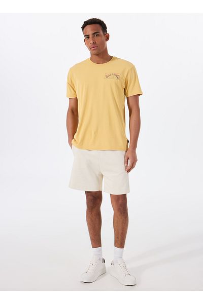 BİLLABONG Billabong Original Arch Premium Ww 24A521515 Yellow Bicycle Collar Regular Fit Straight Men's T-Shirt