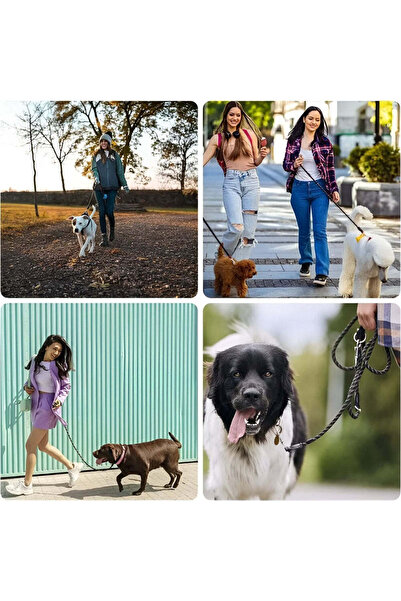 Velixo Lesă pentru câini 5M, mâner din spumă moale, reflectorizantă, prindere metalică la 360°, pentru câini de talie medie/mare, suport pentru geantă inclus