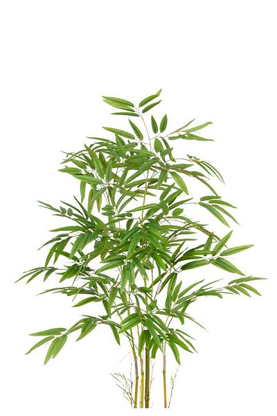 Generic Artificial bamboo tree with a plastic cylindrical stand