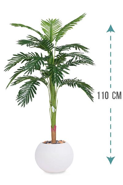 Generic Medium palm tree in a circular plastic container