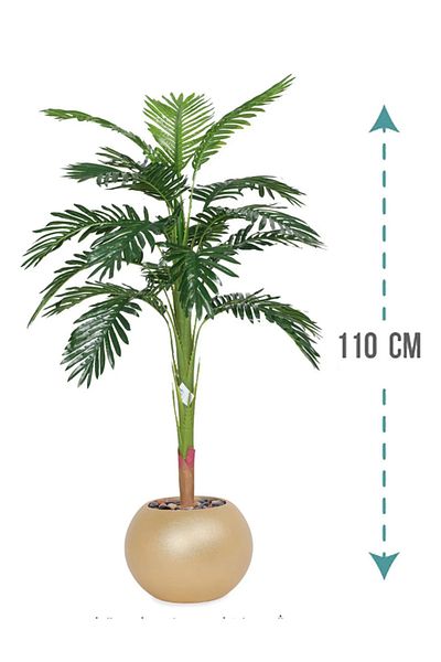 Generic شجرة نخل وسط بمركن بلاستيك دائرى