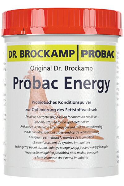 Momentum Dr. Brockamp | Probac Energy