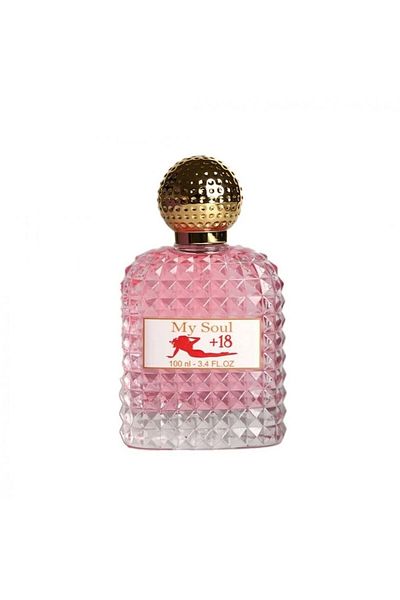 NICHE MOOD My Soul +18 Eau de Parfum for Women 100ml
