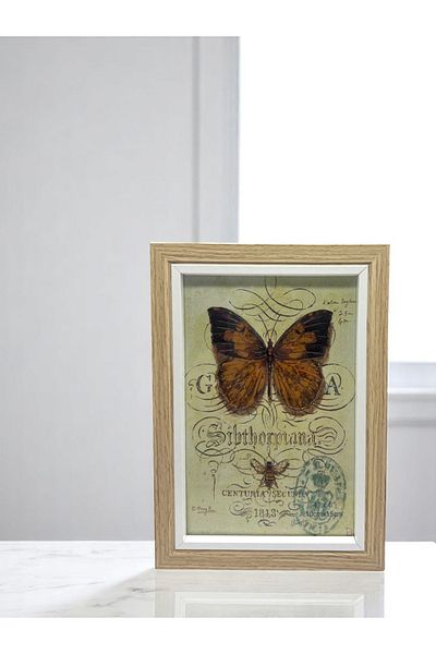 CİHO Ciho 10×15 cm Glass Wooden Decorative Contrast White Detailed Photo / Memory Frame