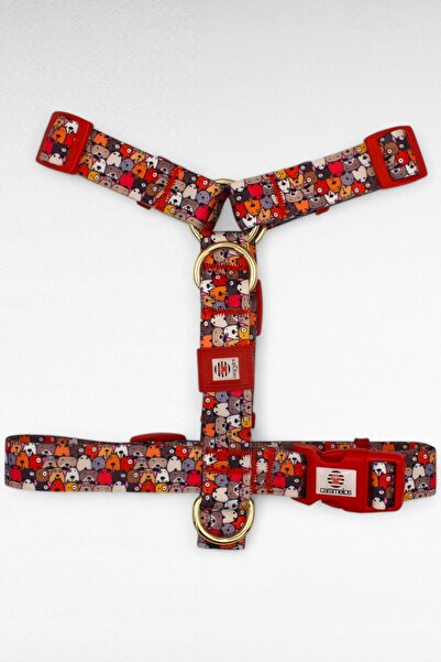 CARAMELOS KÖPEK TASMA SETİ KİŞİYE ÖZEL İSİMLİ TASMA, H TİPİ TASMA ,GÖVDE+GEZDİRME TASMASI, KÖPEK KÜNYE