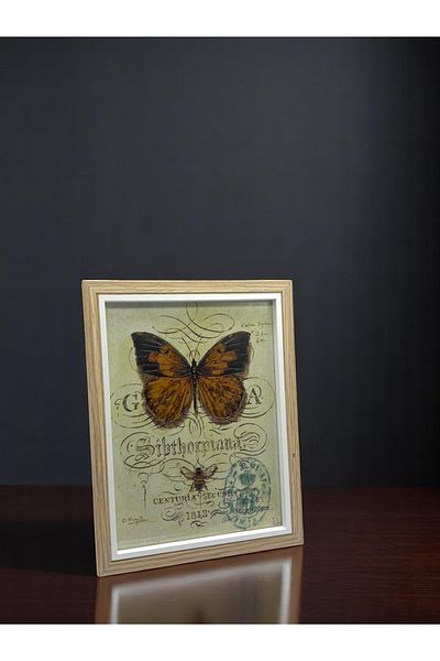 CİHO 15×20 cm Glass Wooden Decorative Contrast White Detailed Photo / Memory Frame