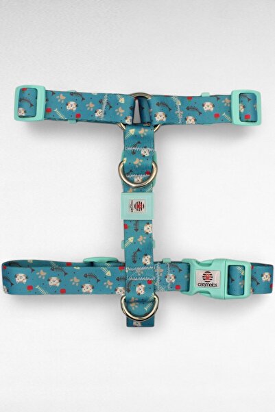 CARAMELOS KÖPEK TASMA SETİ KİŞİYE ÖZEL İSİMLİ TASMA, H TİPİ TASMA ,GÖVDE+GEZDİRME TASMASI, KÖPEK KÜNYE