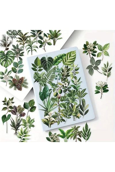 Mona Craftist 50Pcs Transparent Leaf Sticker Set for Bullet Journal Scrapbook Transparent Sticker for Laptop Agenda Planner