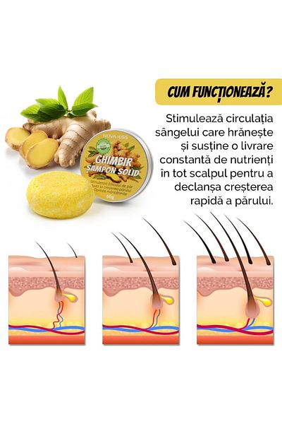 NOVA KISS Ginger Shampoo Against Hair Loss, Regenerating Effect, 100% , ® 60 G