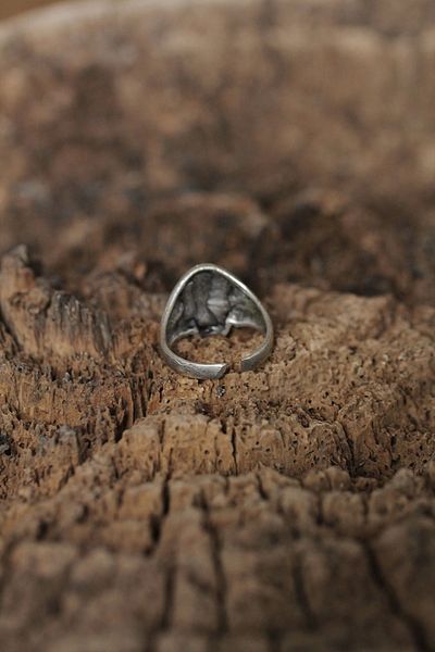 Clariss Adjustable Motif Skull Design Men's Ring