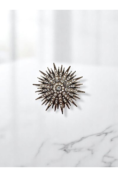 FUYA JEWELLERY Işıltılı Mini Yıldız Broş