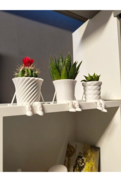 Atsu 3D Mini Kaktüs Ailesi Saksısı-3'lü Set