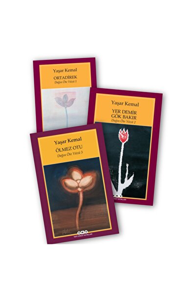 Yapı Kredi Yayınları Yaşar Kemal Dağın Öteki Yüzü Üçlemesi