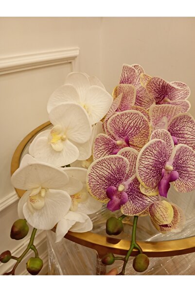 Orkide Islak Gerçek Beyaz Ve Çok Renkli 2 Adet Dokulu 90 Santim Mimara World Da