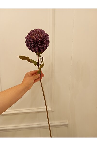 KASIMPATI 60santim mor kasımpatı evinizin dekoru (mimara world) da teşekkürler