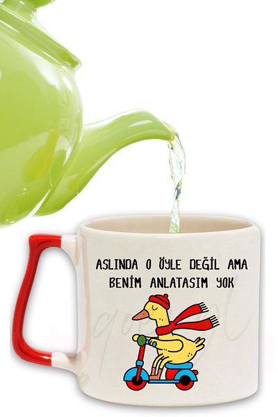 qoeuyl boutique Not Like That but I Have No Words - Biker Duck Printed Fun Gift Colorful Mug with Handle
