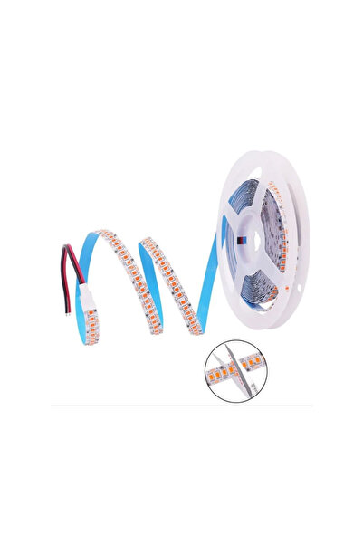 Cata Ct-4538B 240 Çipli 12V 5M Led Şerit İç Mekan Beyaz Işık