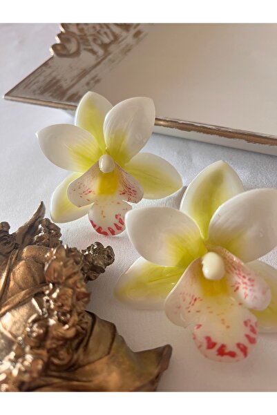 Aka أقراط ليليوم موديل العلامة التجارية الصيفية