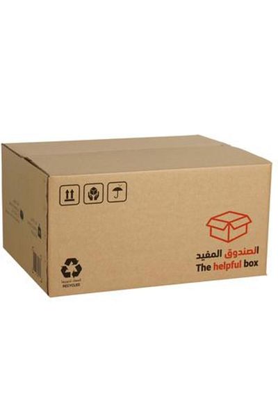 ACE 5-Ply Carton Box (60.9 x 45.7 x 30.4 cm)