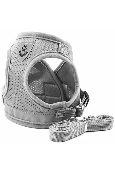 zola Set ham si lesa caini, marime S, plasa moale, 30-36 cm trunchi, lesa 120 cm, gri