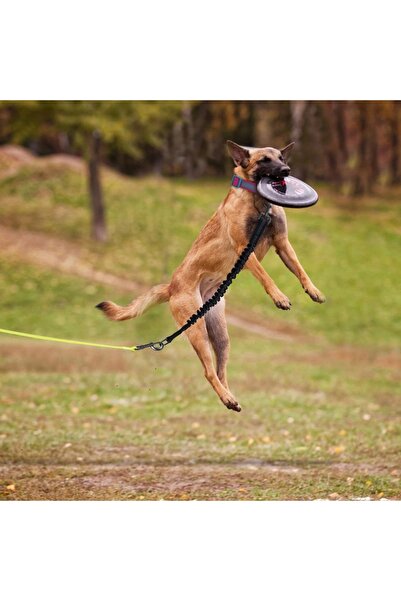 zola Αμορτισέρ με λουρί εκπαίδευσης, με καραμπίνερ και μεταλλικό δακτύλιο, μήκος 95 cm, ροζ