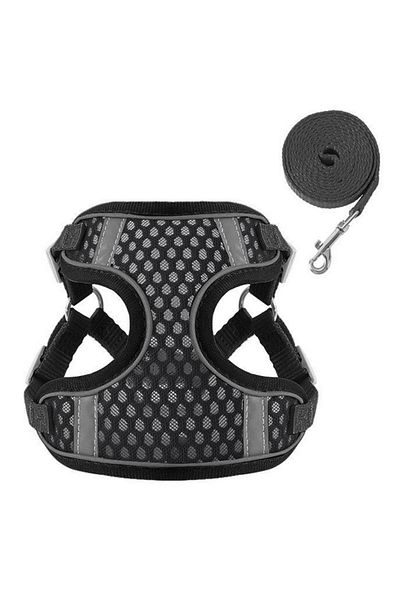zola Dog harness and leash, size M, reflective elements, adjustable straps, leash 150 cm, black