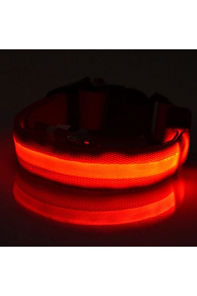 zola Zgarda pentru catei,cu lumina led, 3 moduri de aprindere, M, circumferinta reglabila 36-46cm, rosie