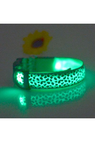 zola Dog/cat collar, with LED, size S-white/green