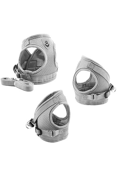zola Set ham si lesa caini, marime S, plasa moale, 30-36 cm trunchi, lesa 120 cm, gri