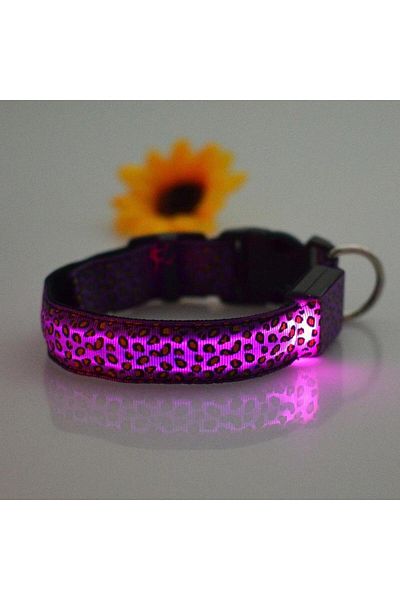 zola Dog/cat collar, with LED, size S, purple