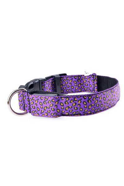zola Dog/cat collar, with LED, size S, purple
