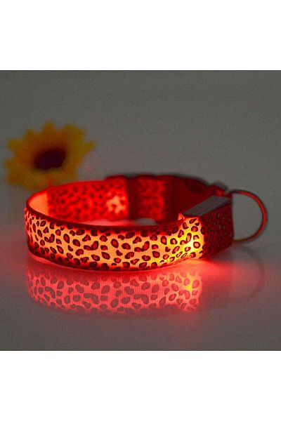 zola Zgarda pentru catei/pisici,cu LED, marimea L, 58 cm, alba/portocalie