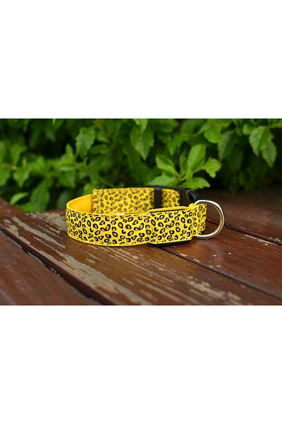 zola Dog/cat collar, with LED, size M, yellow