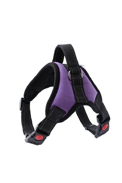 zola Adjustable harness for dogs, adjustable, leash hook, buckle fastening, purple, size L