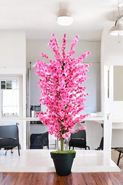 florayapaycicekcom pembe bahar dalı kiraz çiçegi sakura 81 dal dogal gövdeli siyah plastık saksı