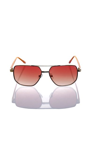 AR COLLECTİON Plus Men Metal Sunglasses Ar321 C6