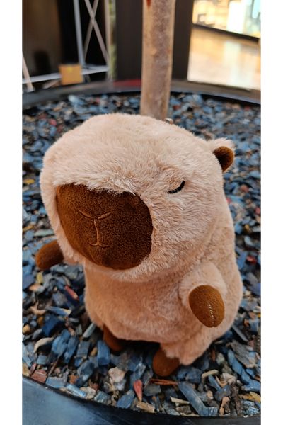 Şeker Adası Cute Plush Capybara 30 cm Sleeping and Playmate Capibara Animal Toy