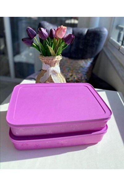 Tupperware 2 Adet 2.25 LT Alaska.