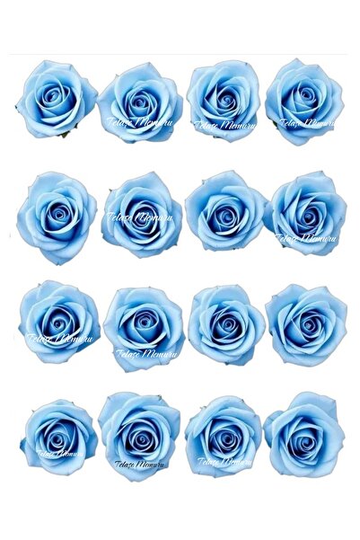 telaşe memuru Yenilebilir Çiçek Pasta Süsü - Yenilebilir Mavi Gül - Kağıt Pas...