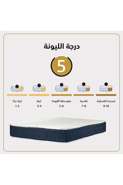 Lazy Vibes Celin | Bed Mattress 12 Layers - Blue & White