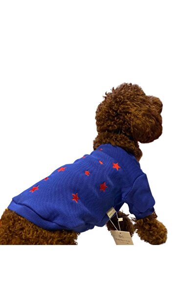 GedyCo Stars Small Breed Dog Sweatshirt Saks