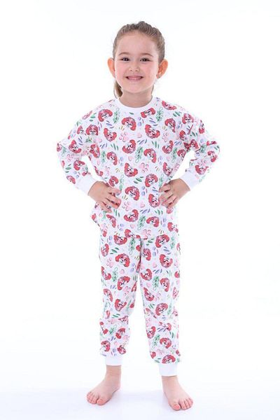 ZUZUNGA 2-Piece Colorful Butterfly and Pink Heart Patterned Girl's Pajama Set