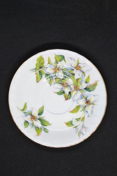 Royal Albert Bone China Green Floral Double Coffee Cup Saucer 12.5 cm
