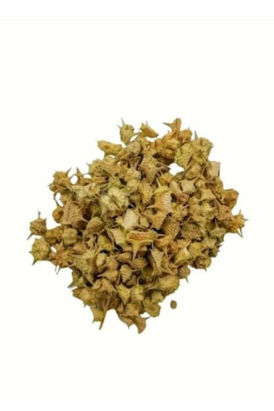 Generic White Thistle Herb 250 Grams