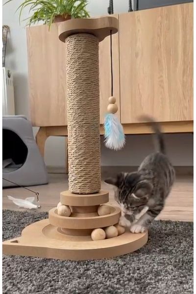 pethomealpi Cat Toy with Cat Scratch and Wooden Balls 41 cm Height