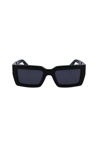 Ferragamo SF1108S542100, Sunglasses, women's