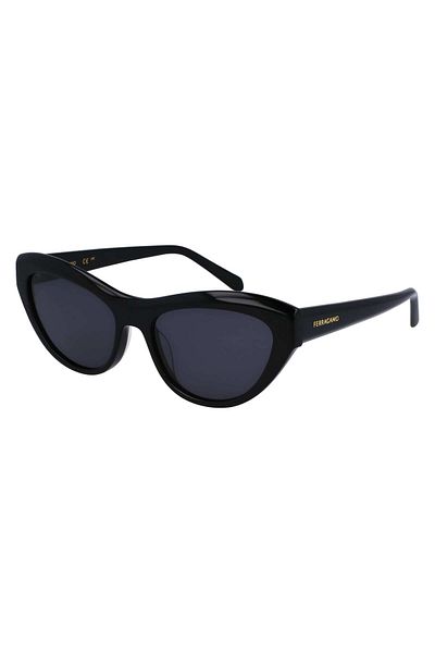 Ferragamo SF1103S551700, Sunglasses, women's