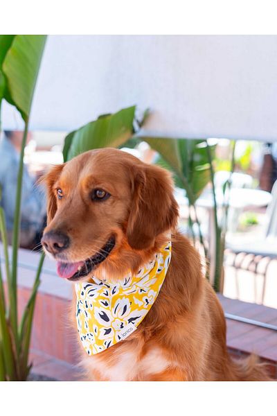 Lorico Dog Snap Fastener Patterned Scarf/Bandana