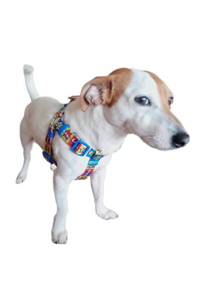 MiaBona Big Bang Model Yüksek Kaliteli Mavi Renk Köpek Göğüs Tasması Dog Collar